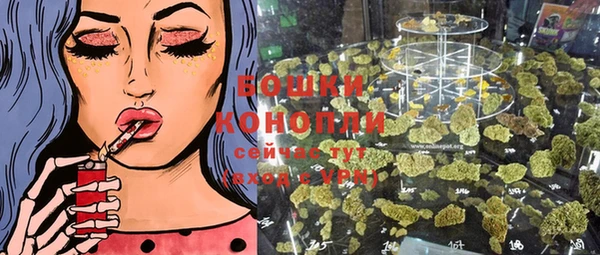 ПСИЛОЦИБИНОВЫЕ ГРИБЫ Пересвет