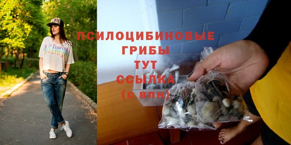 ПСИЛОЦИБИНОВЫЕ ГРИБЫ Пересвет